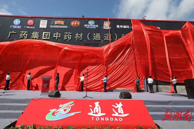 06129a8f-e685-4918-b5fd-542fb28b6b1a